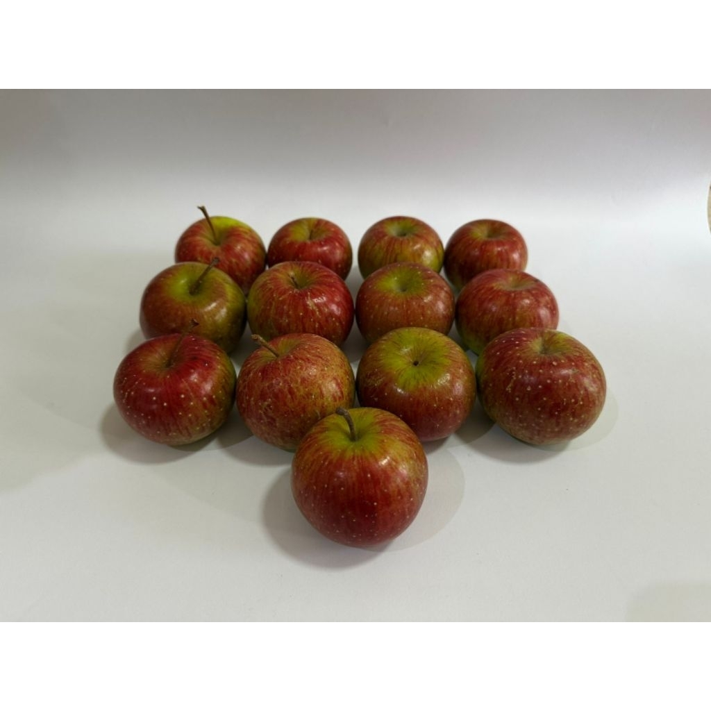 

Apel Malang Rome Beauty Tanggung isi 12-14 per kg