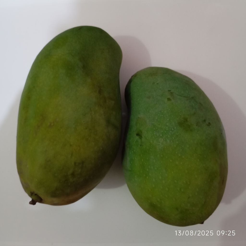 

Mangga Harum Manis Segar 1kg