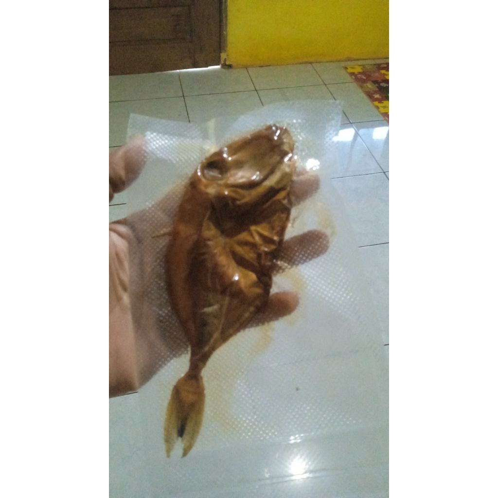 

ikan Asap Togek/Ayam²