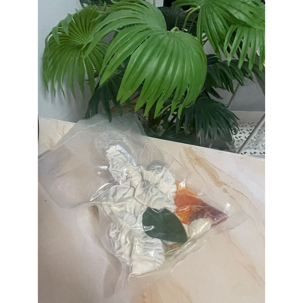 

pangsit ayam endul khas Tasikmalaya isi 7 pcs