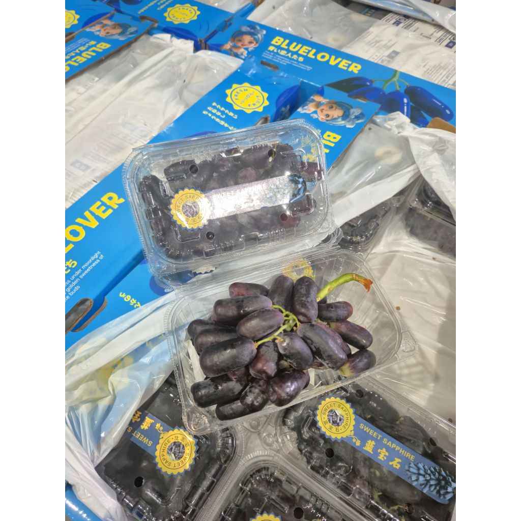 

Anggur Sweet Black Saphire Pack -+500gr