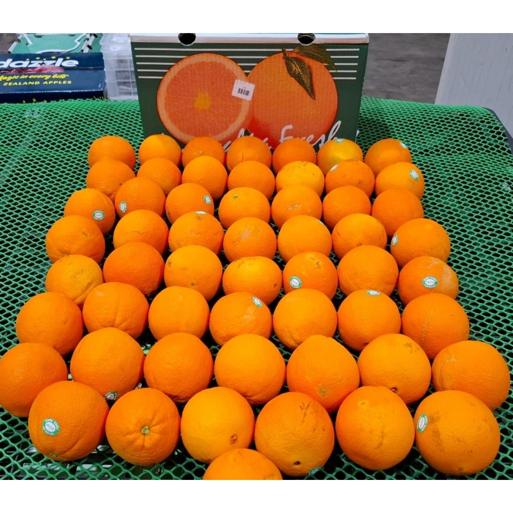 

Jeruk Sunkist CaraCara Australia 1kg