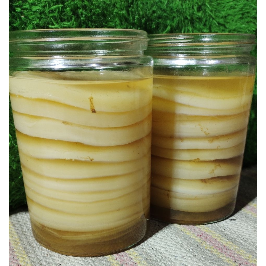 

kombucha scooby 9cm aktif cepat produksi scooby