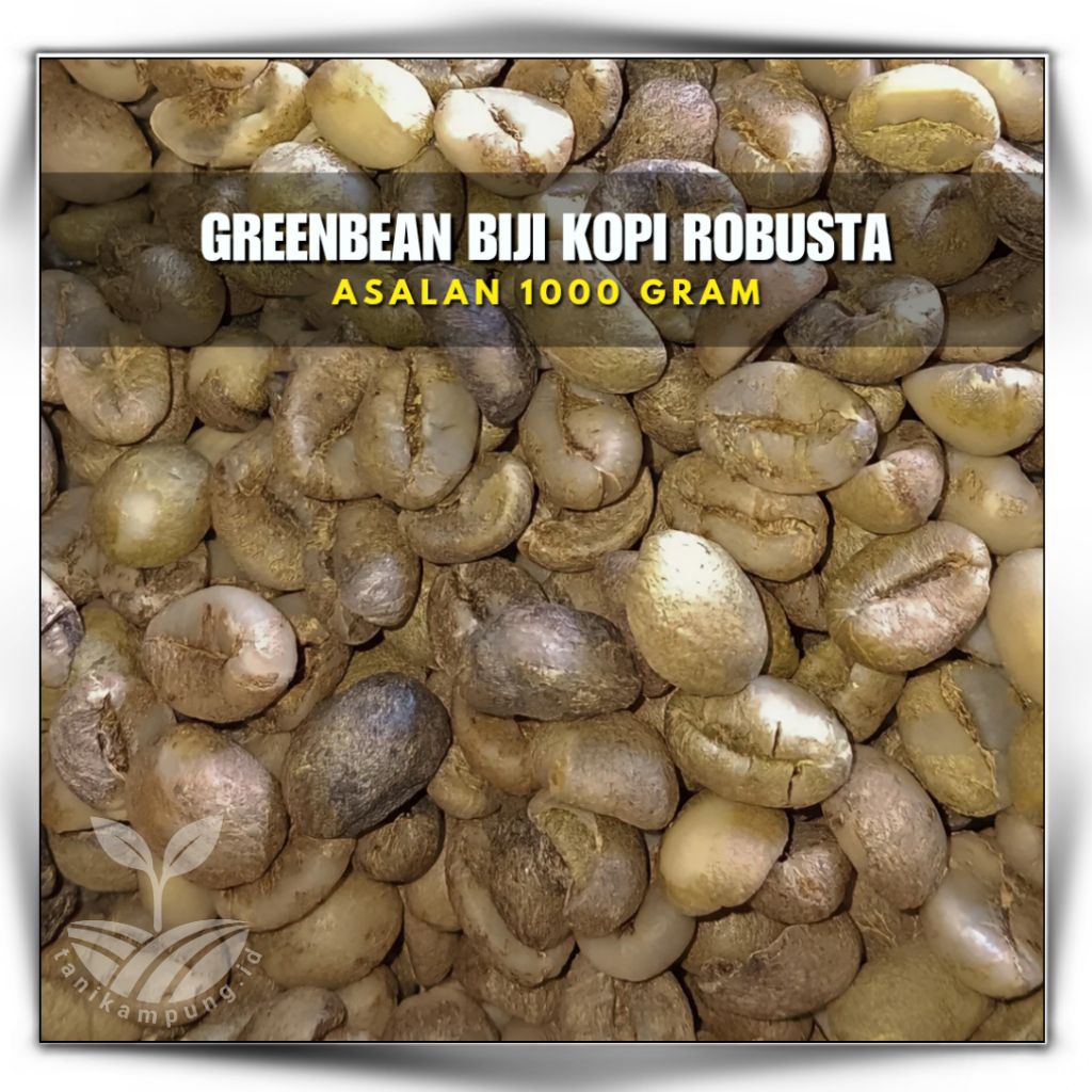 

GreanBean Biji Kopi Mentah Robusta Asalan 1kg Origin Kaki Gunung Slamet