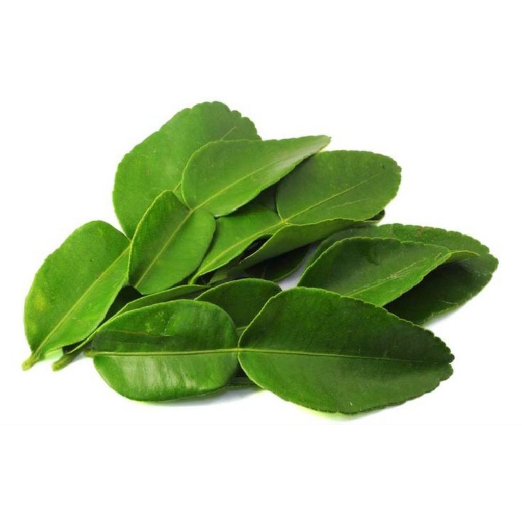 

daun Jeruk angka delapan 1ons