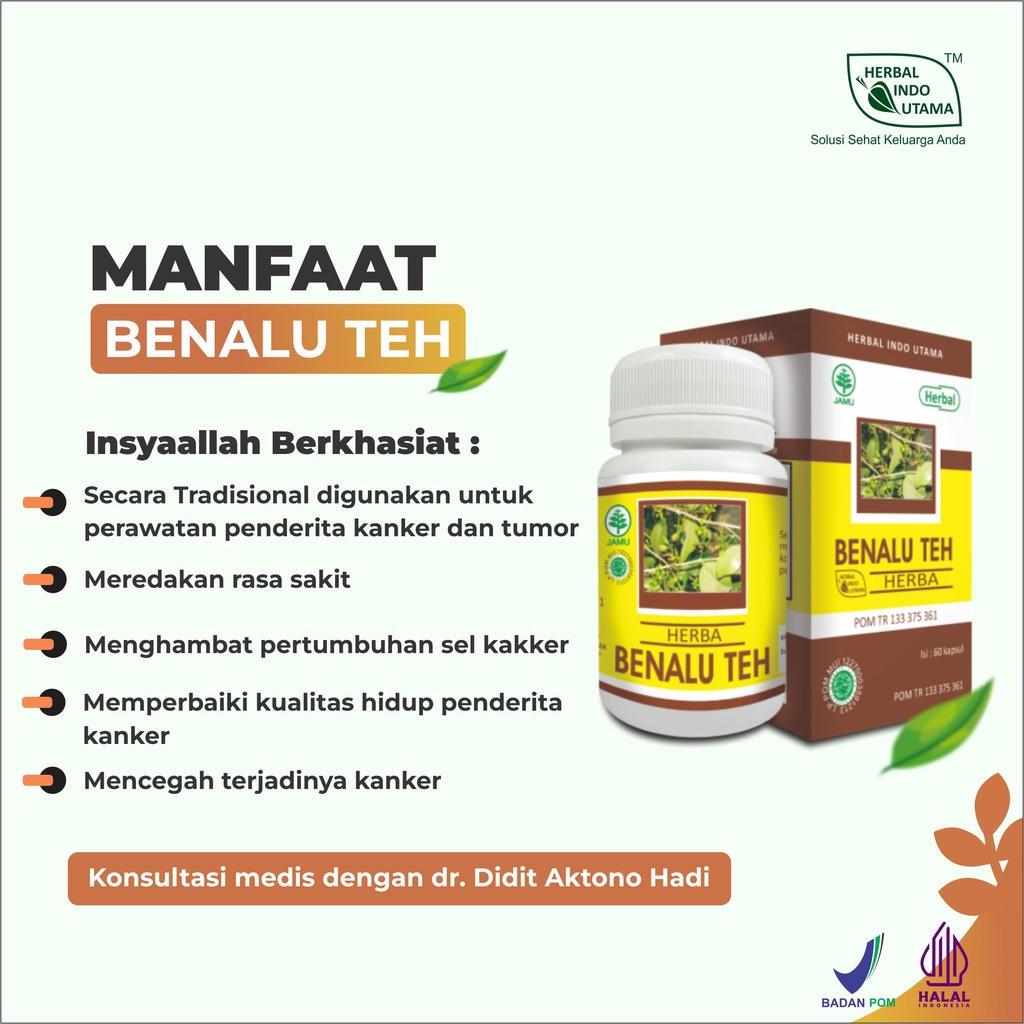

Herbal Teh Penghambat Pertumbuhan Sel Kanker