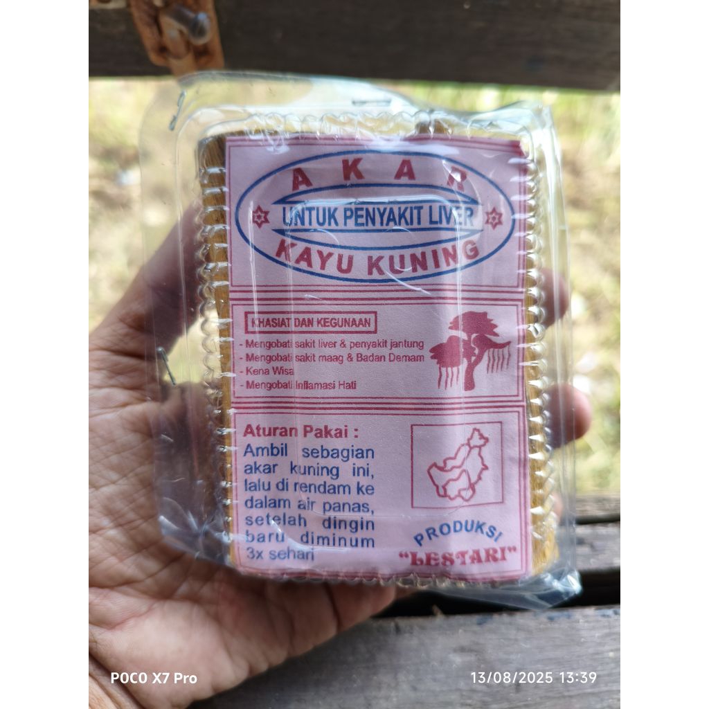 

akar kayu kuning untuk penyakit liver