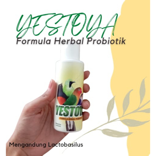 

Yestoya Minuman Bekasi