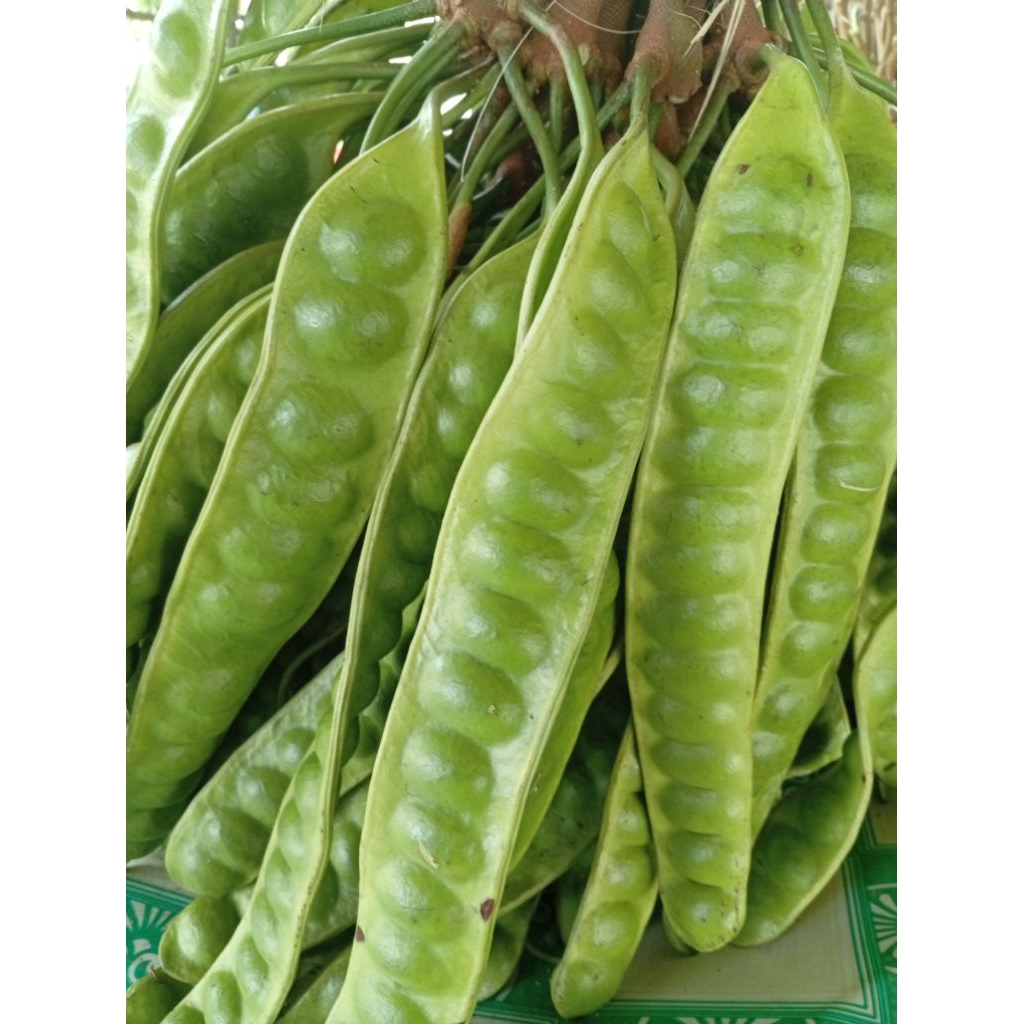 

pete campuran harga per 10 papan