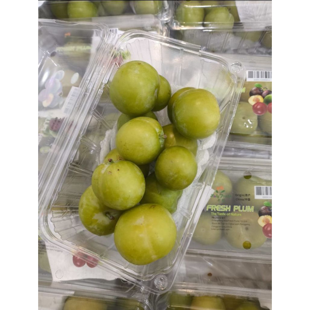 

plum ijo plum hijau khusus semarang