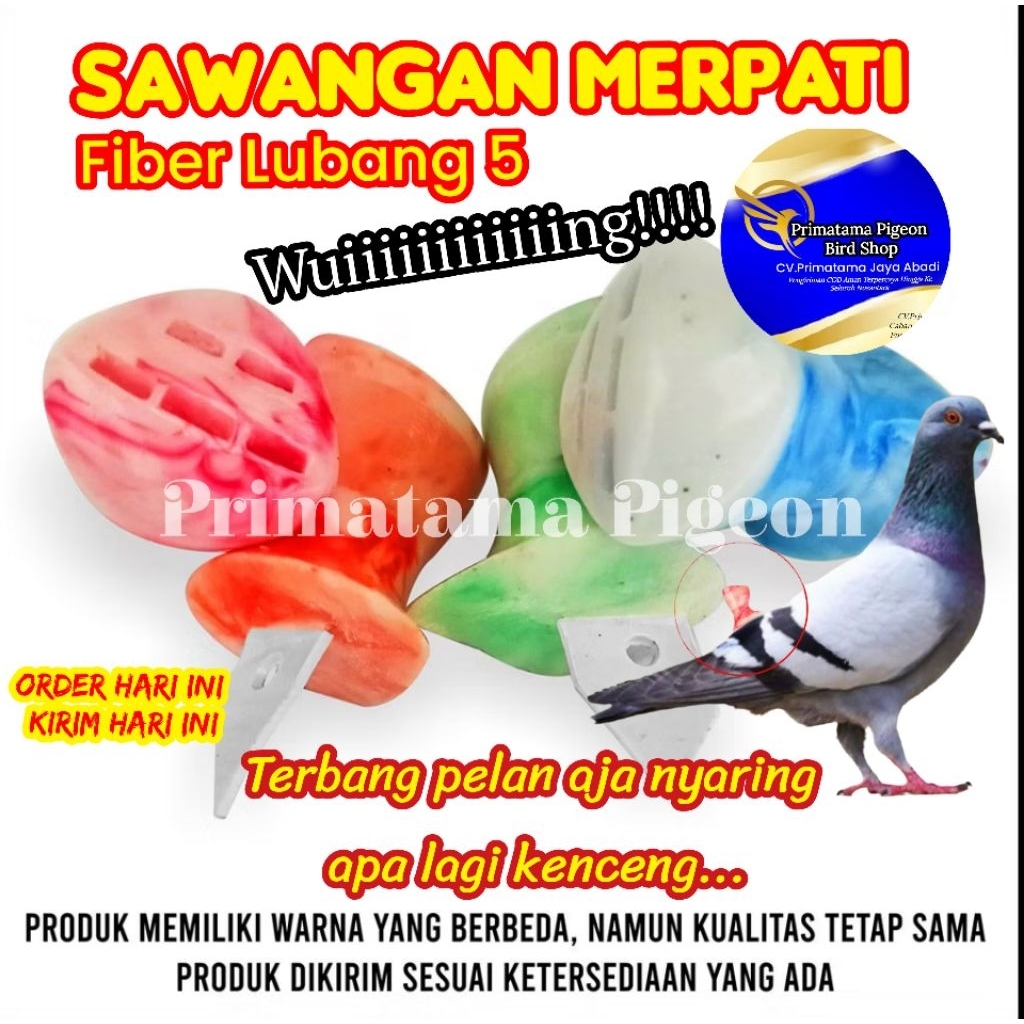 SAWANGAN FIBER 5 LUBANG SAWANGAN MERPATI NYARING SEMPRITAN BURUNG HATONG SULINGAN