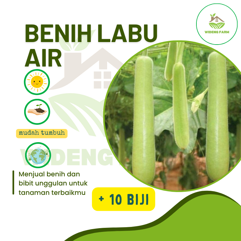 10 Biji - Benih Labu Siam BALISTIK / Benih Labu Siam
