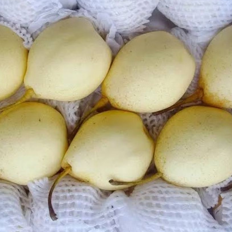 

Pear Century 500 gram