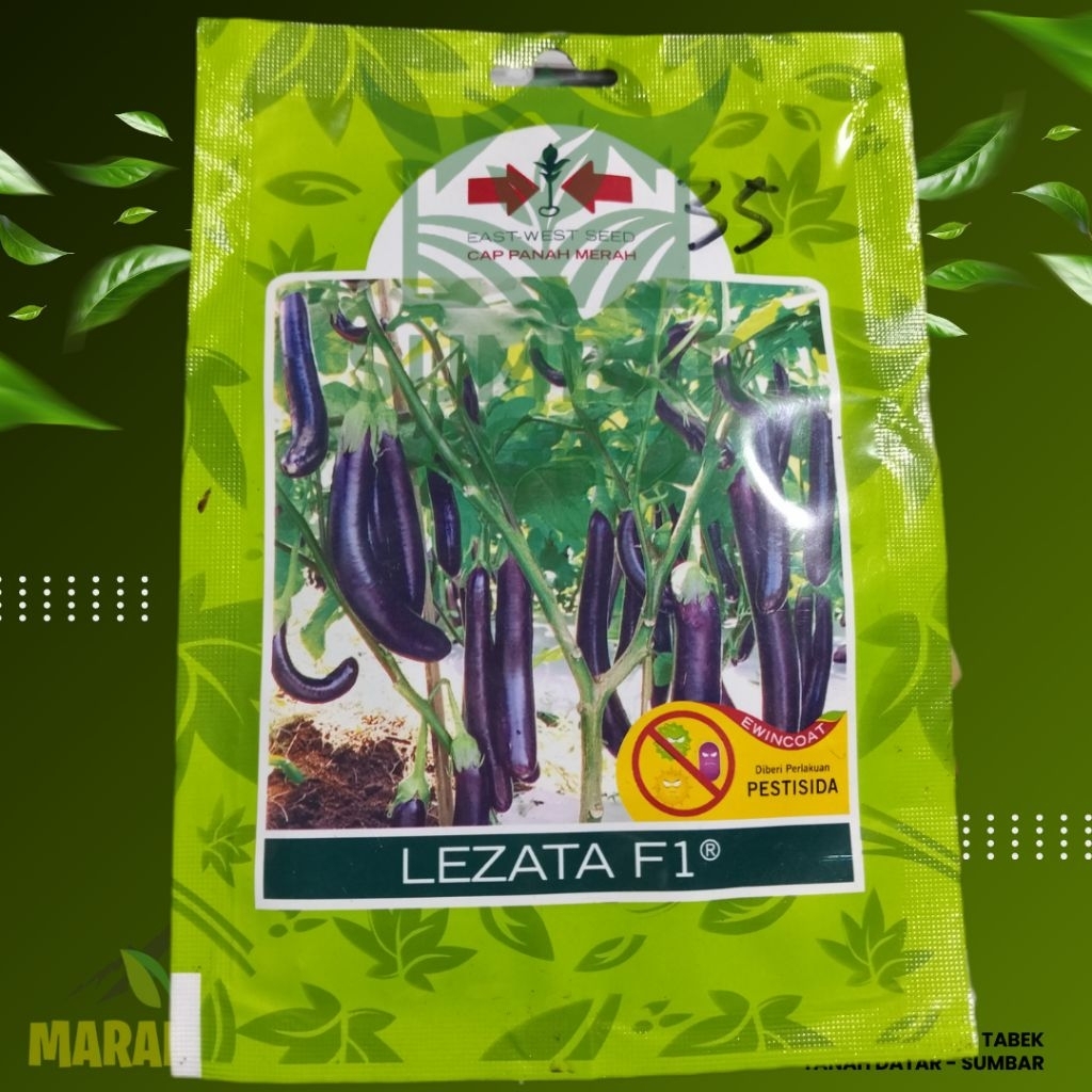 Benih Terong LEZATA F1 // Bibit unggul terong ungu