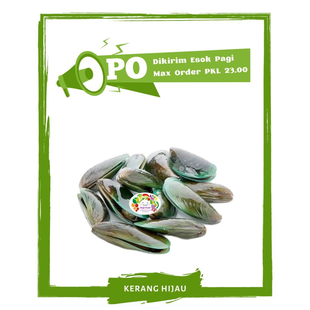 Kerang Hijau Kulit / Ikan Segar PO Mallahrizwa