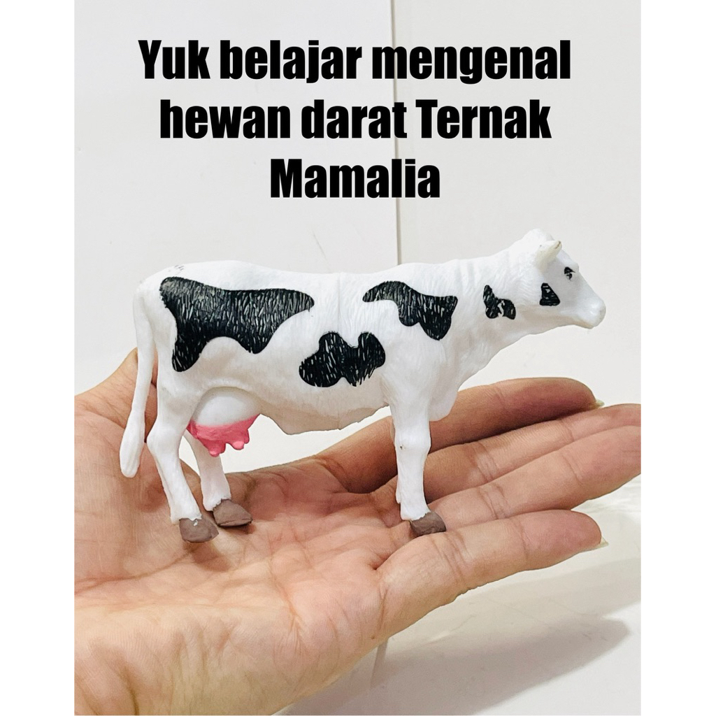 Sapi Kerbau Domba Kambing - pajangan hewan kambing Sapi Domba - pajangan hewan Kerbau - miniatur sap