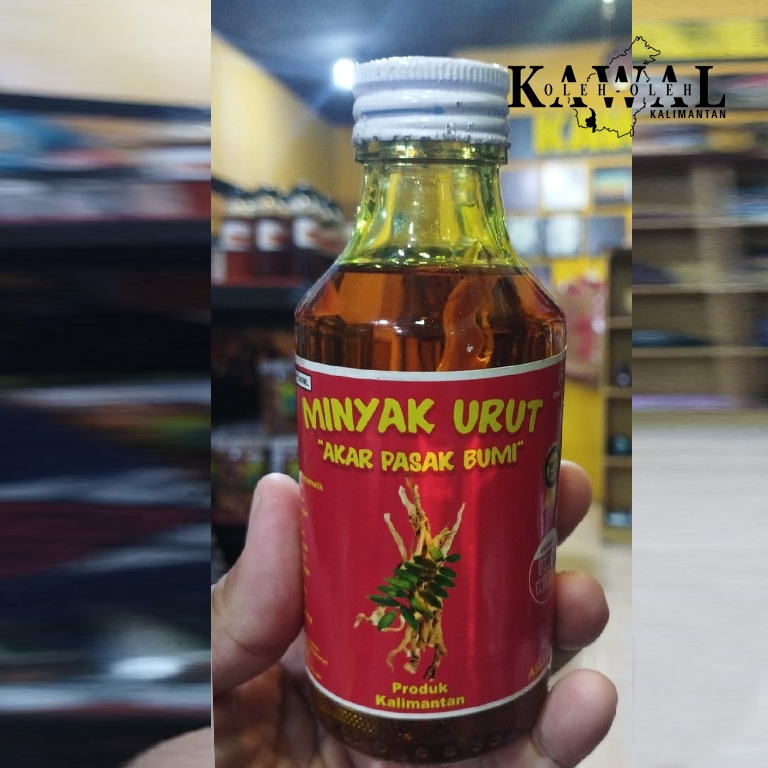 Minyak Urut Akar Pasak Bumi Asli Kalimantan - Minyak Pasak Bumi - Pasak Bumi Kalimantan