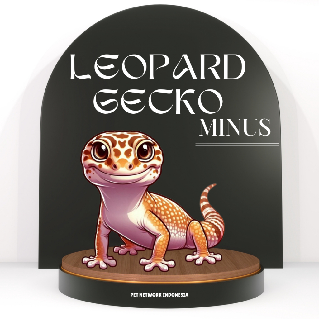 OBRAL MAINAN GECKO MINUSAN PREMIUM QUALITY