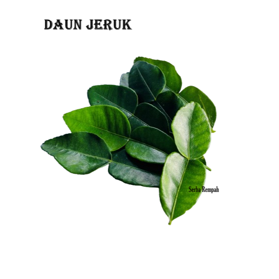 

Daun Jeruk Bumbu Dapur Fresh Segar - Daun Jeruk Purut - Pewangi Herbal
