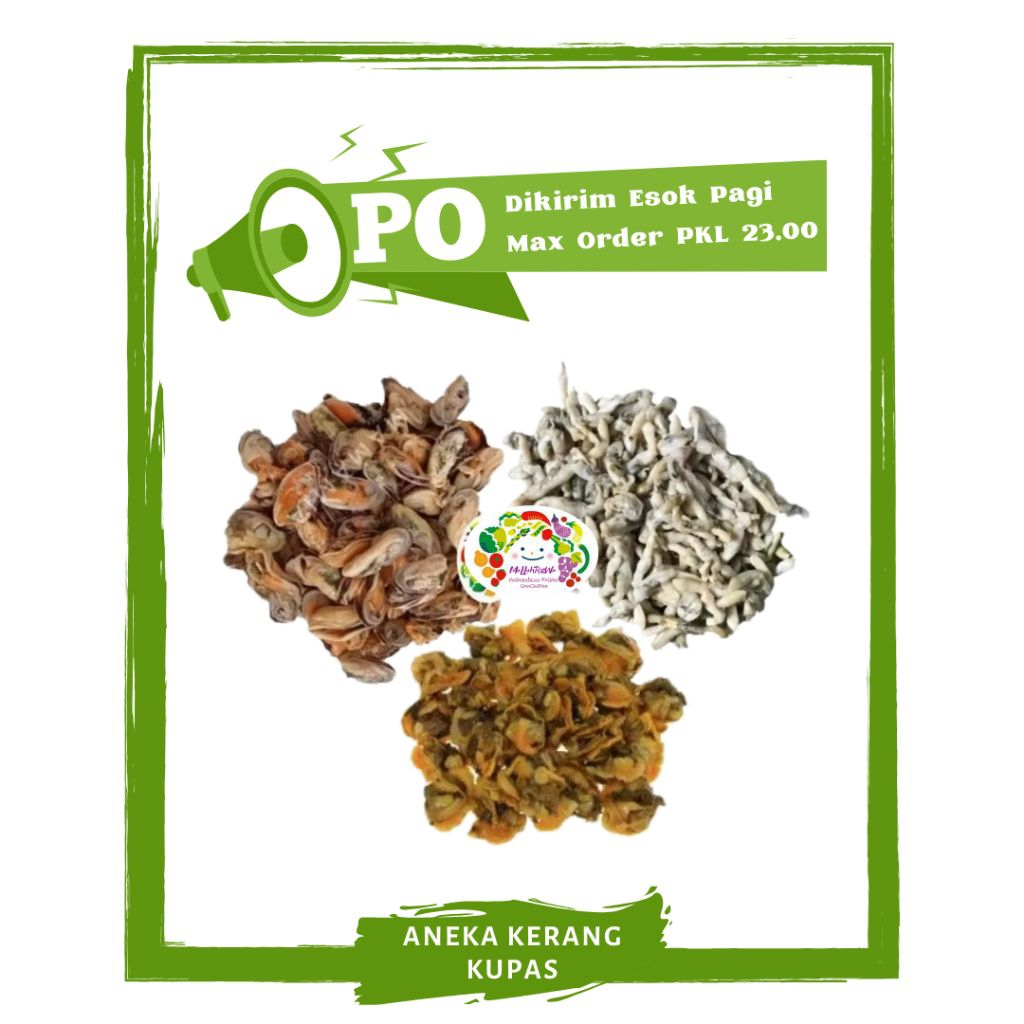 

Kerang Dara Kupas / Kerang Hijau / Kerang Lorjuk / Ikan Segar PO Mallahrizwa