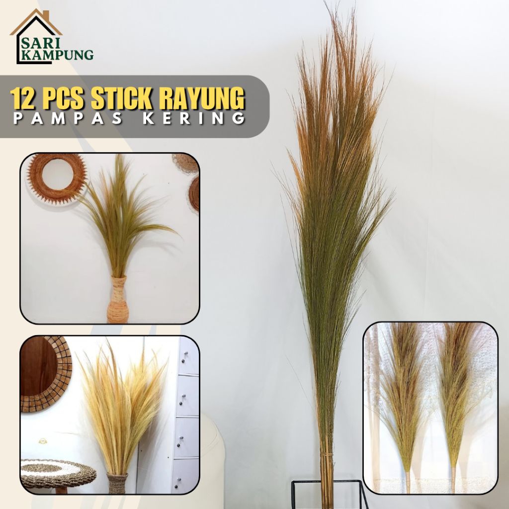 12 Batang Rayung Lokal | Pampas Rayung Bunga Kering | Dekorasi Rustic