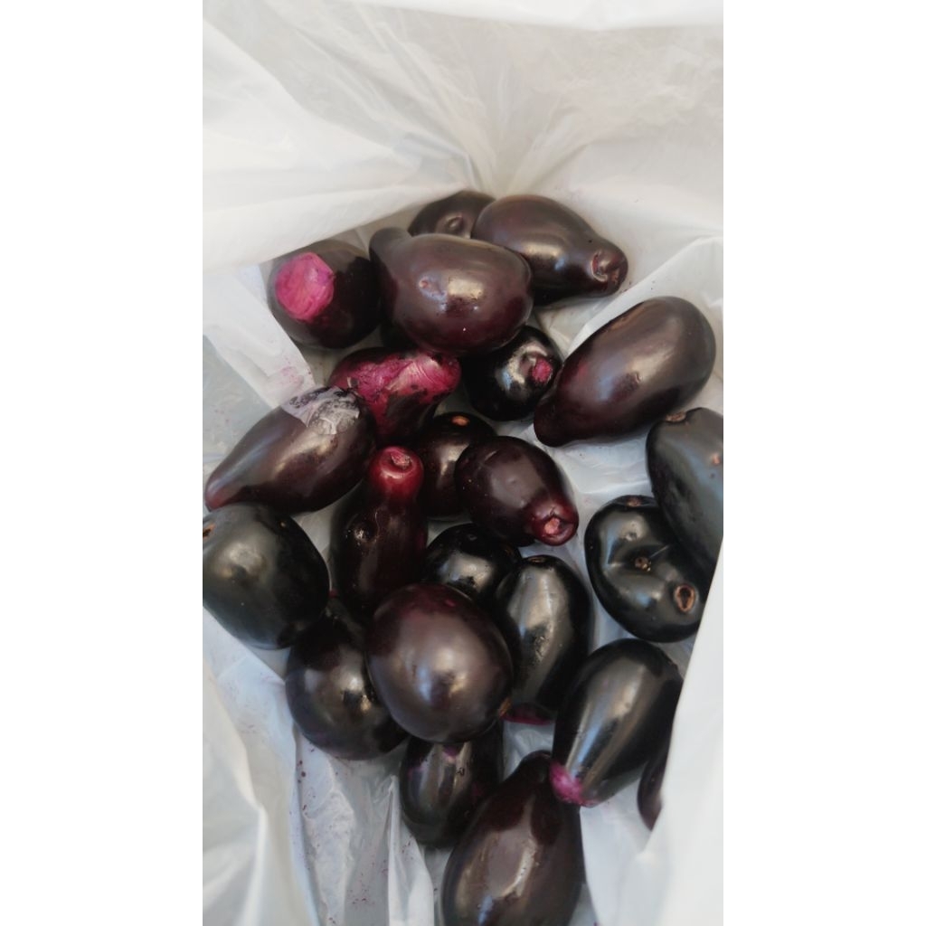 

buah langka zaman cleopatra