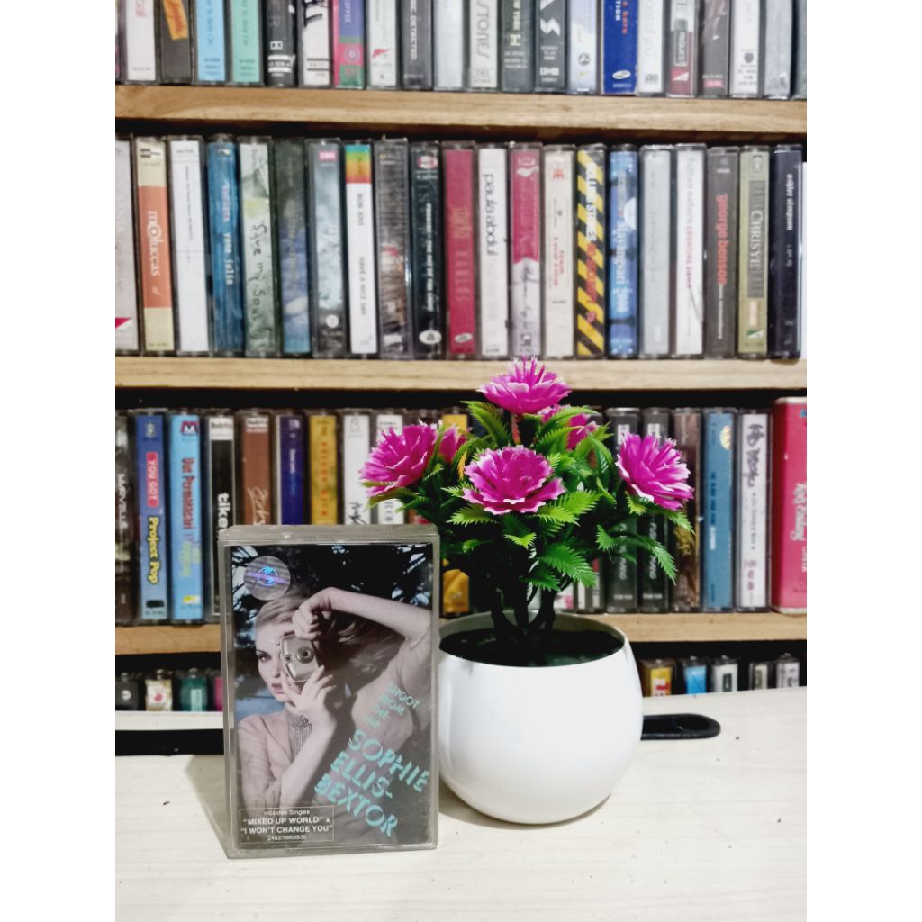 KASET SOPHIE ELLIS BEXTOR