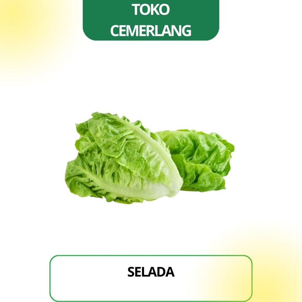 

Selada 250 gr / 500 gr / 1 kg