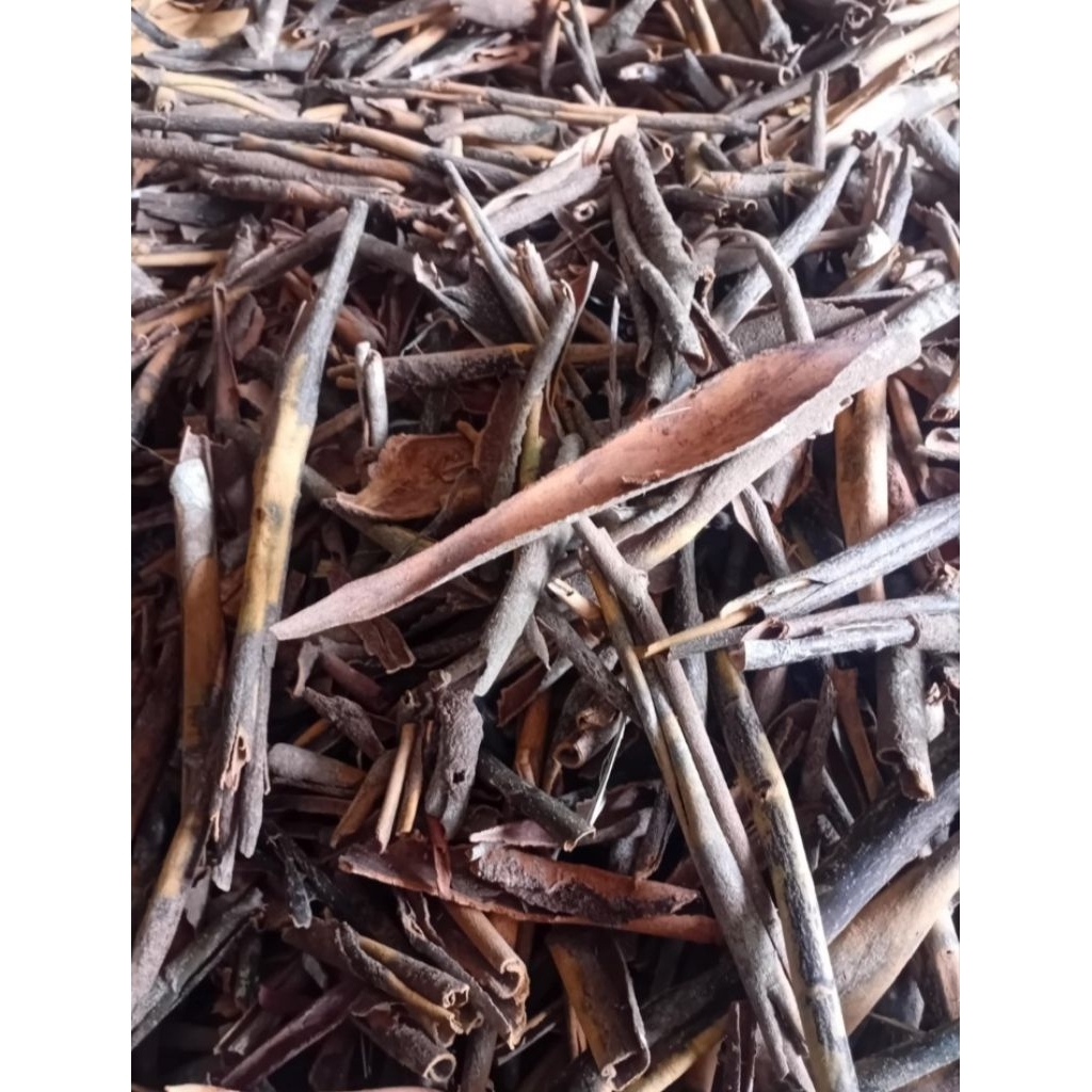 

kulit kayu manis asli kerinci