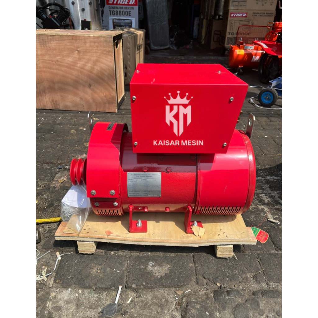 TIGON DYNAMO LAS MAGNET WELDING GENERATOR TW-300D