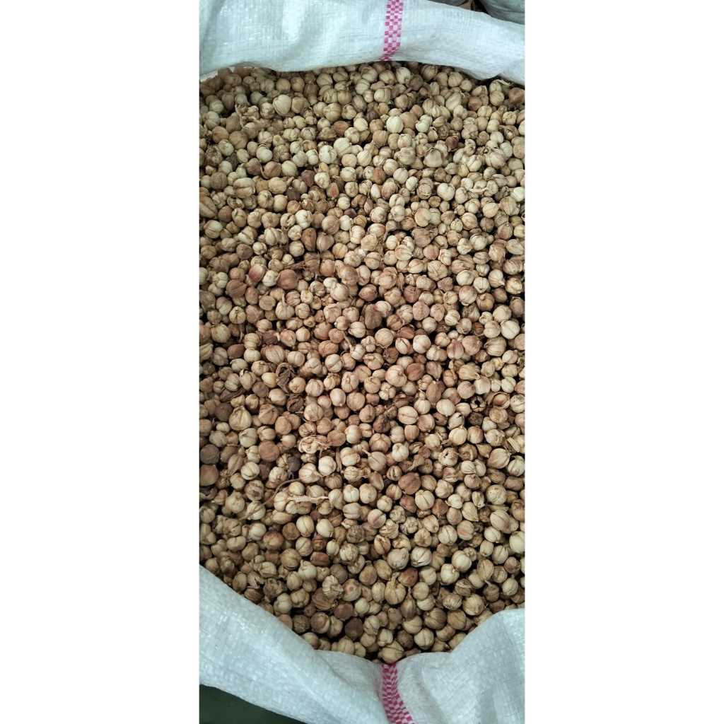 

KAPULAGA REMPAH REMPAH WANGI UKURAN 1KG DAN 500GR