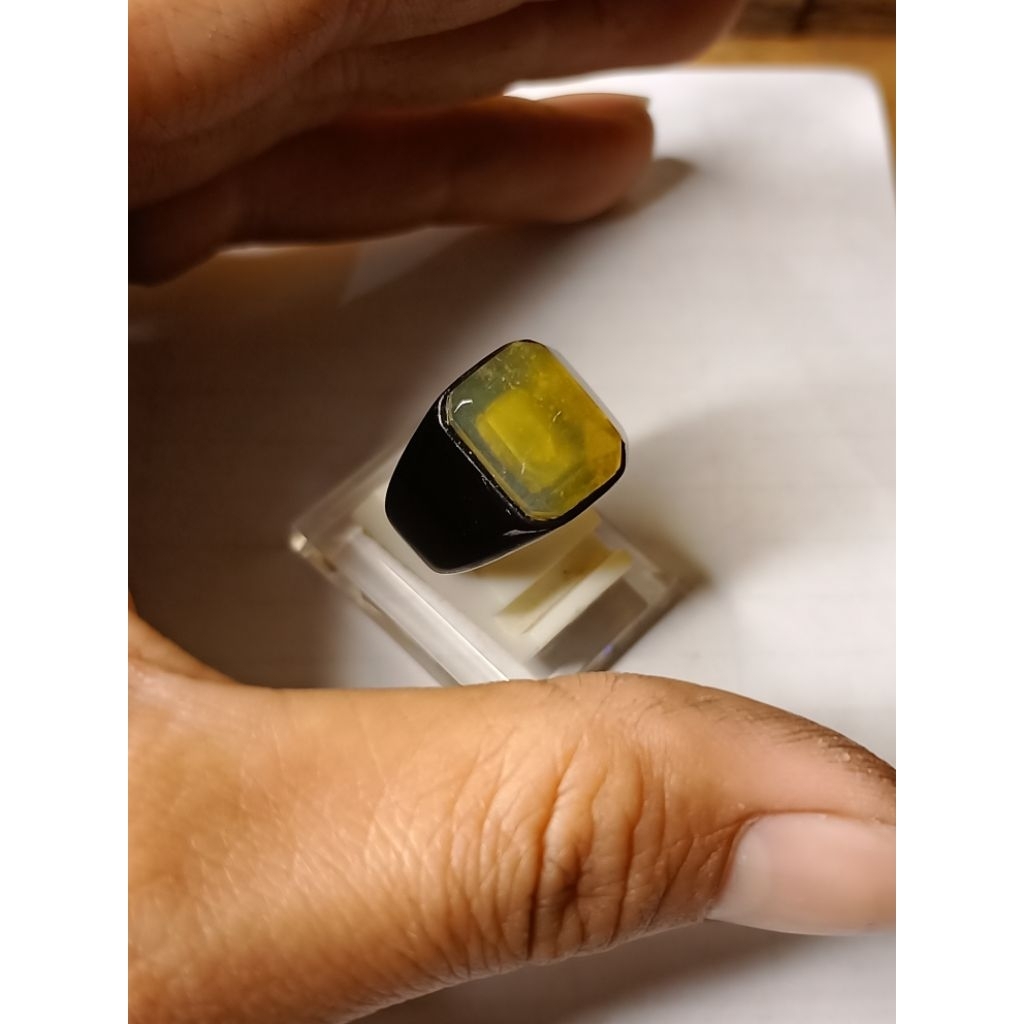 kuning garut cikolak