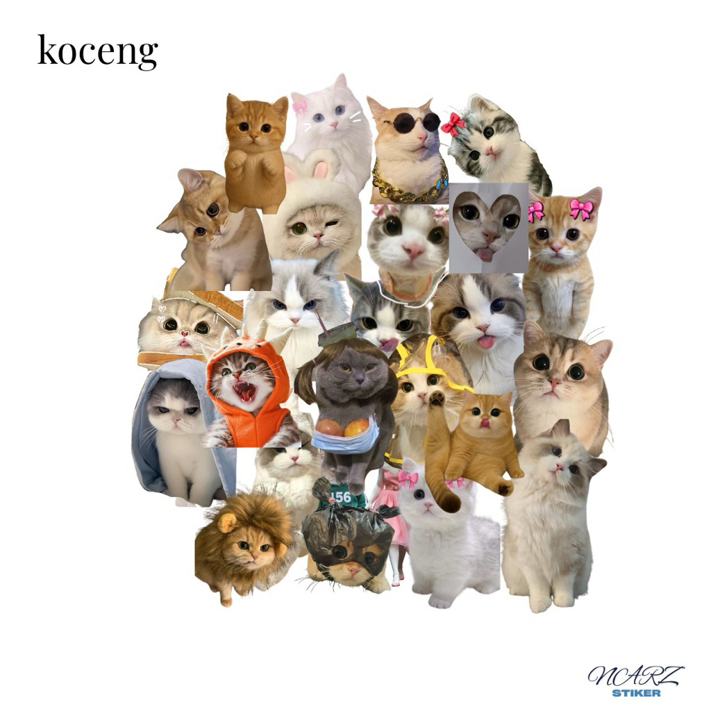 

10-50pcs~stiker kucing yang lucu stiker aesthetic