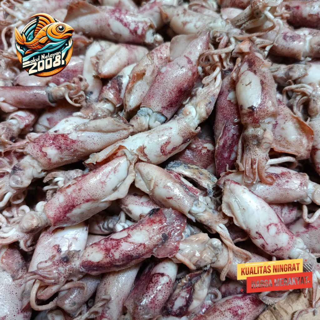 

Ikan cumi asin | ikan asin cumi