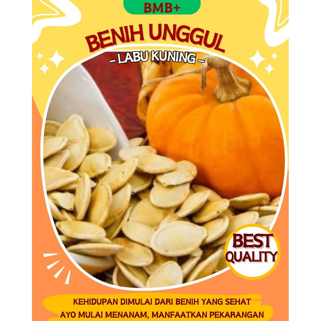 BMB+ Benih Labu Kuning / Waluh / Labu Jumbo Kuning