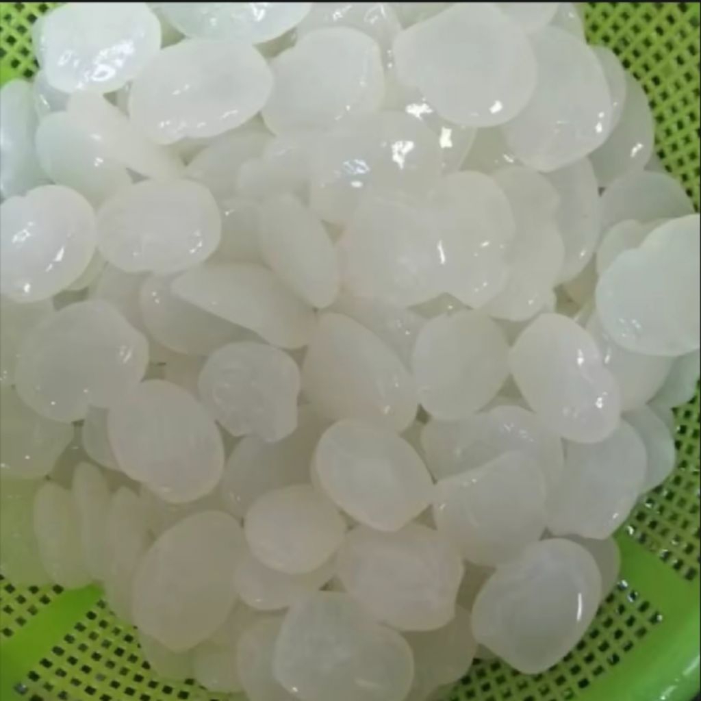 

TERMURAH kolang kaling fresh segar / 2 kg