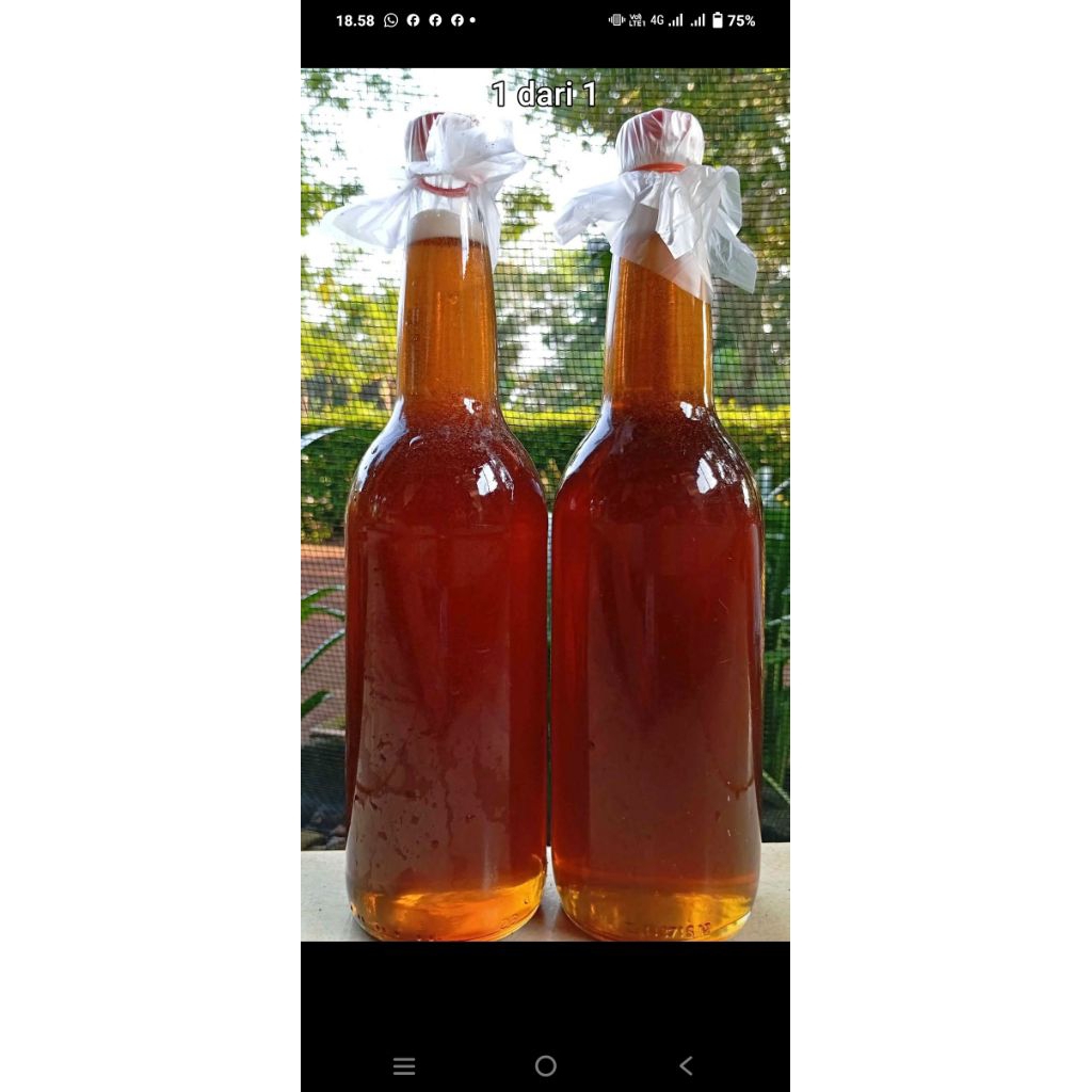 

madu original indonesia 1 kg