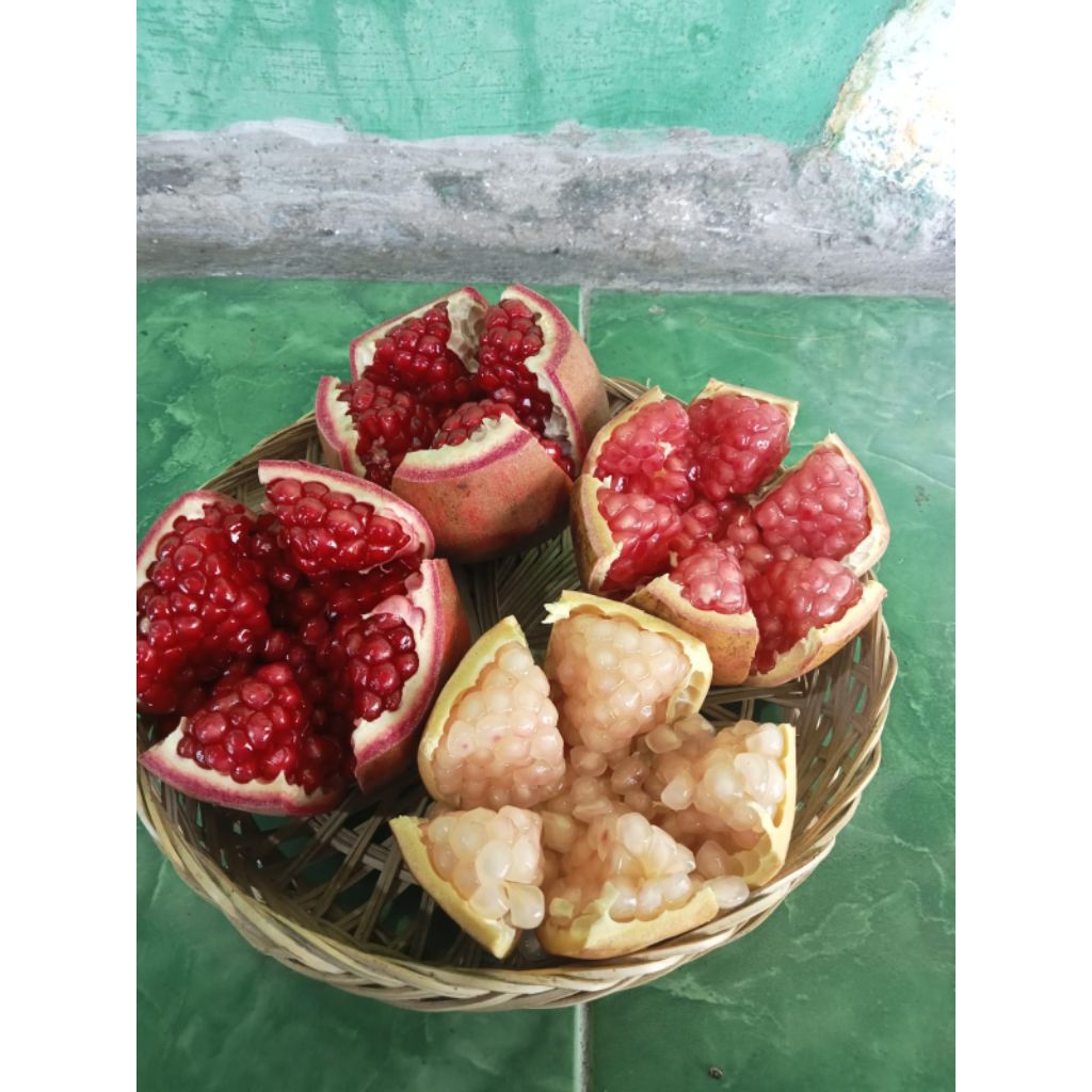 

Delima manis biji lunak