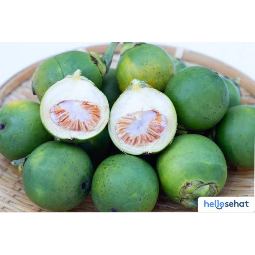 

pinang muda seger masih Fress 1kg herbal Setok masih banyak