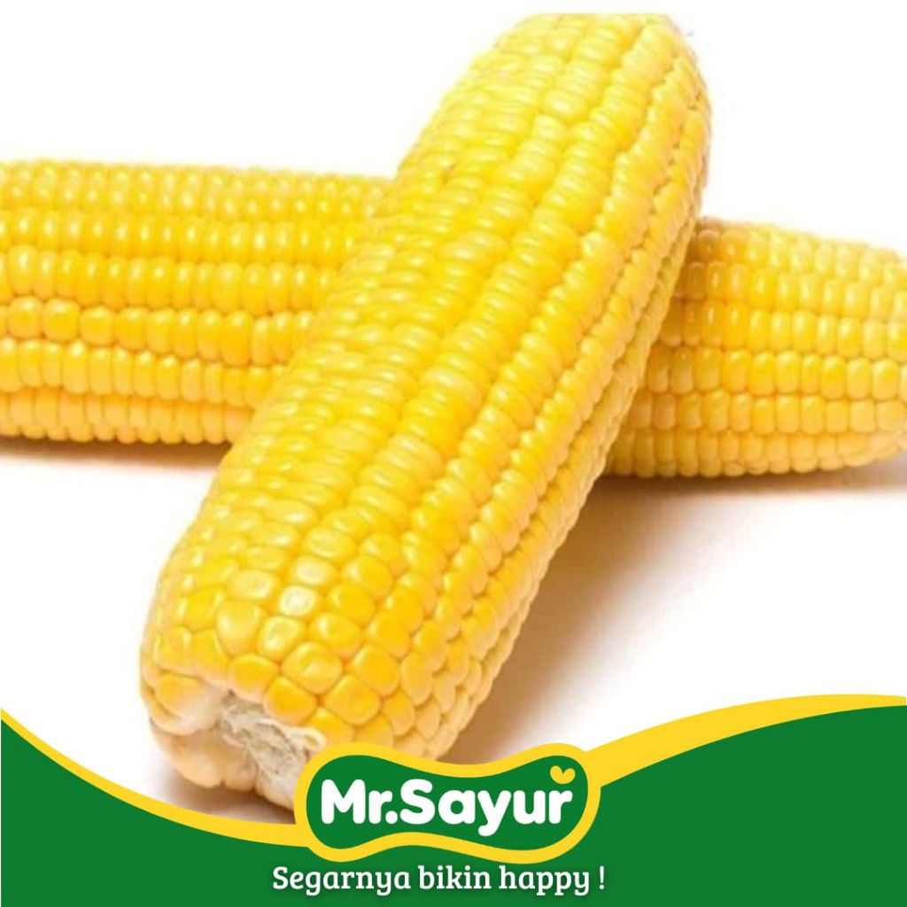 

Jagung Manis Kupas 1kg - Mr. Sayur Segar (Instan/ Same Day)