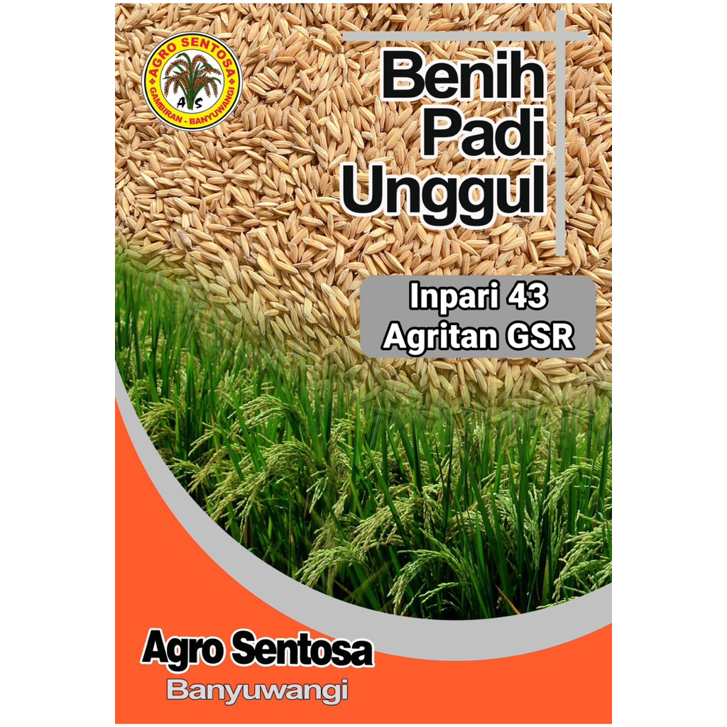 BENIH PADI INPARI 43 AGRITAN GSR