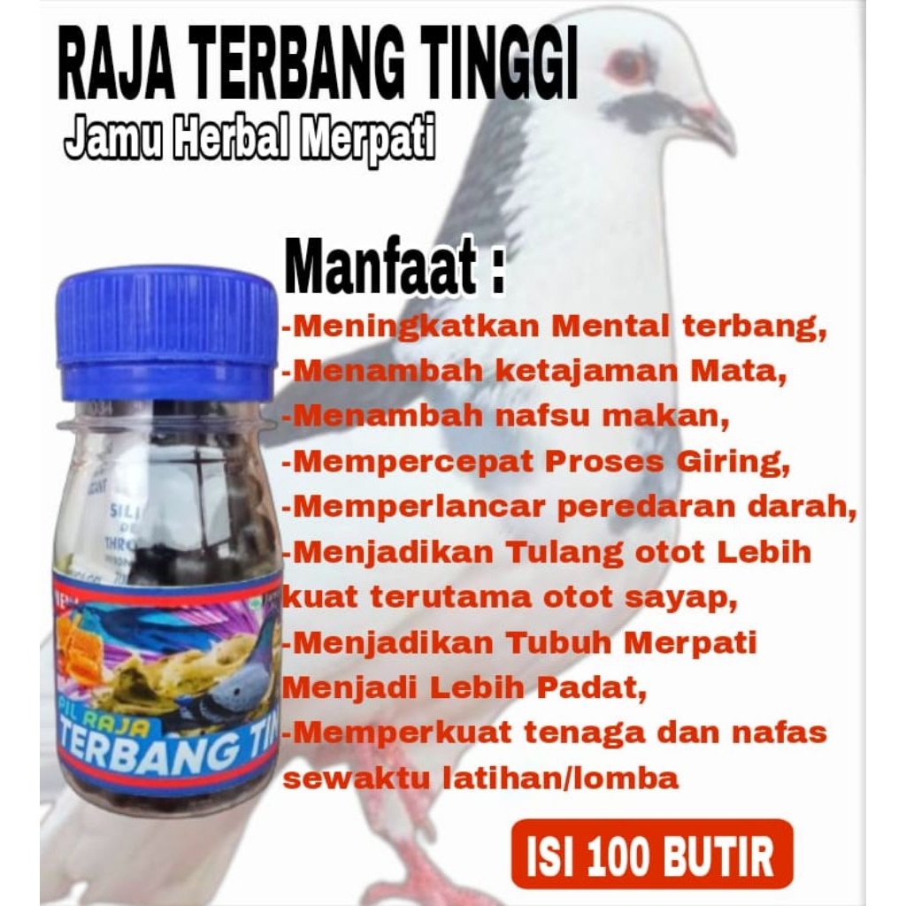 JAMU MERPATI TERBANG TINGGI keket giring stut door buktikan khasiatnya Raja Doping Merpati Tinggi  j