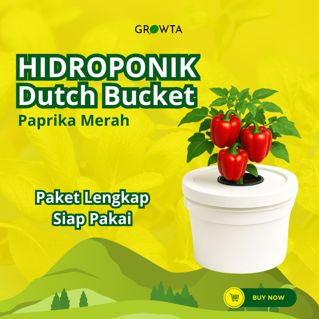 Paket Lengkap Hidroponik Pemula Dutch Bucket Paprika Merah Wick System
