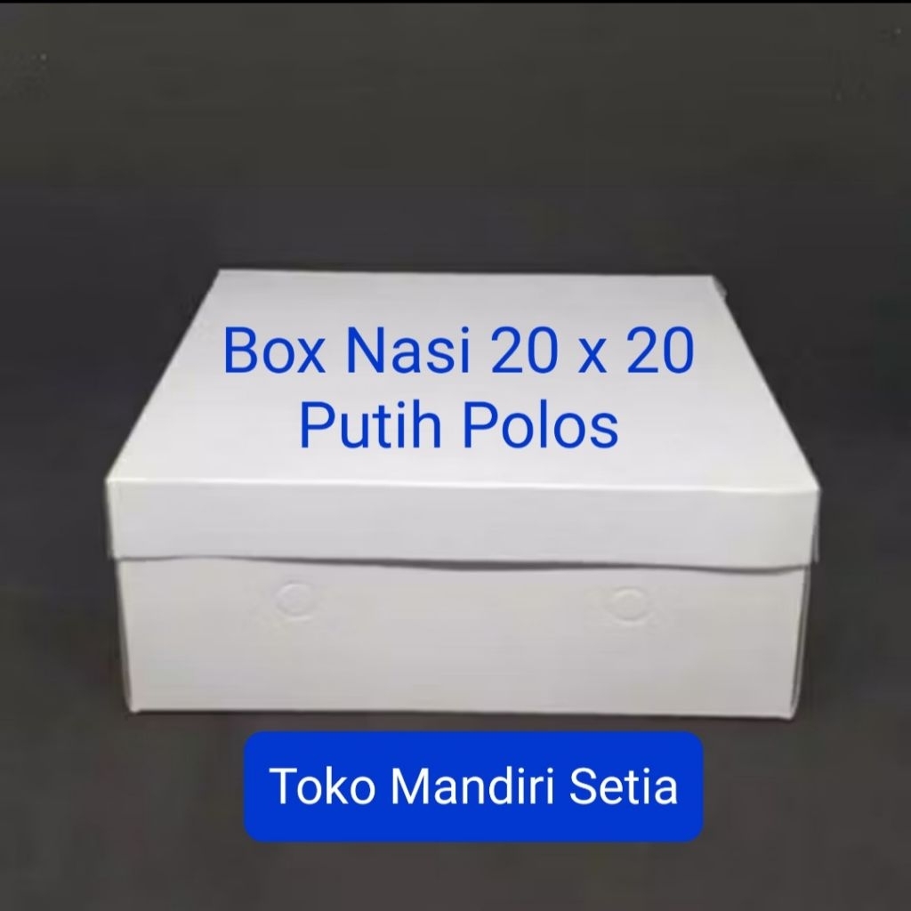

Box Nasi Size 20 x 20 Putih Polos