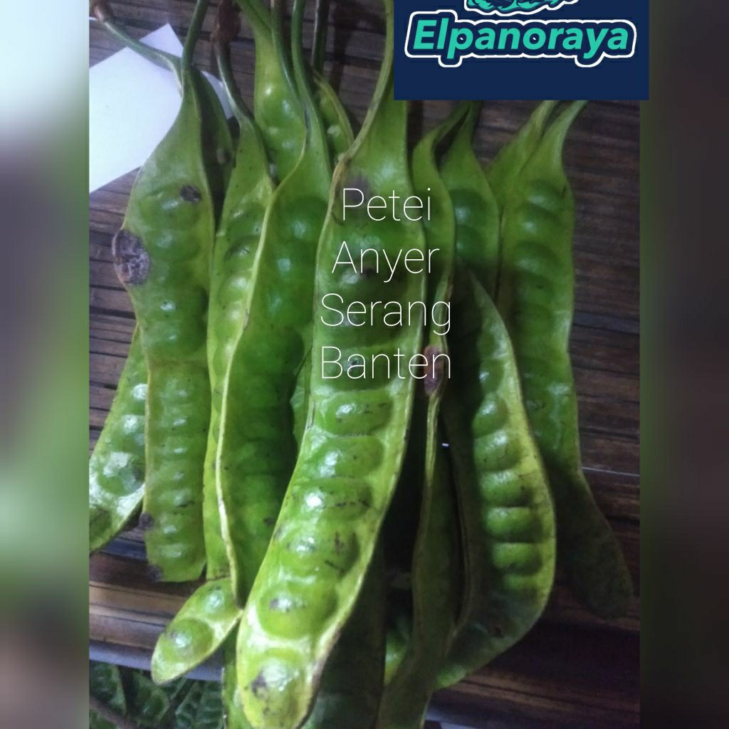 

1 ikat isi 10 papan atau lonjor petei murah sortiran