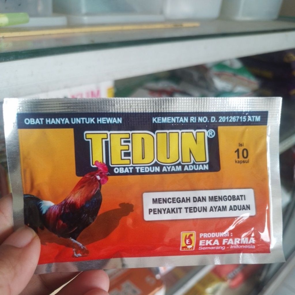 TEDUN
