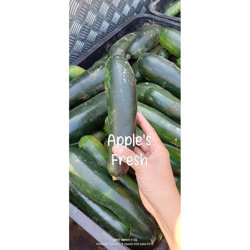 

zuchini atau timun jepang dalam 500gr