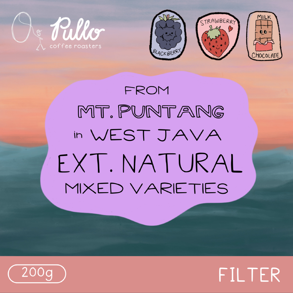 

Filter Roast - Puntang Extended Natural
