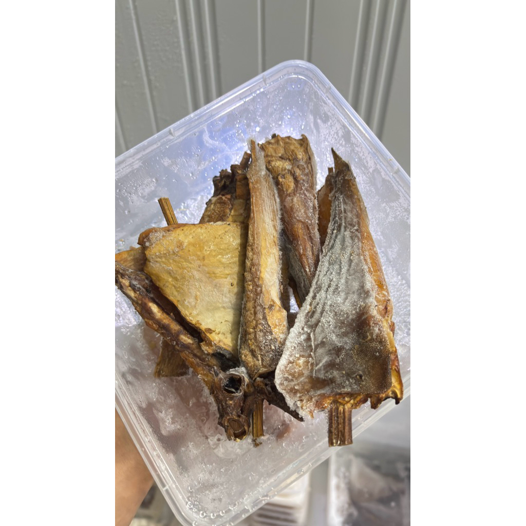 

asap Ikan PE /pari +-500 gram