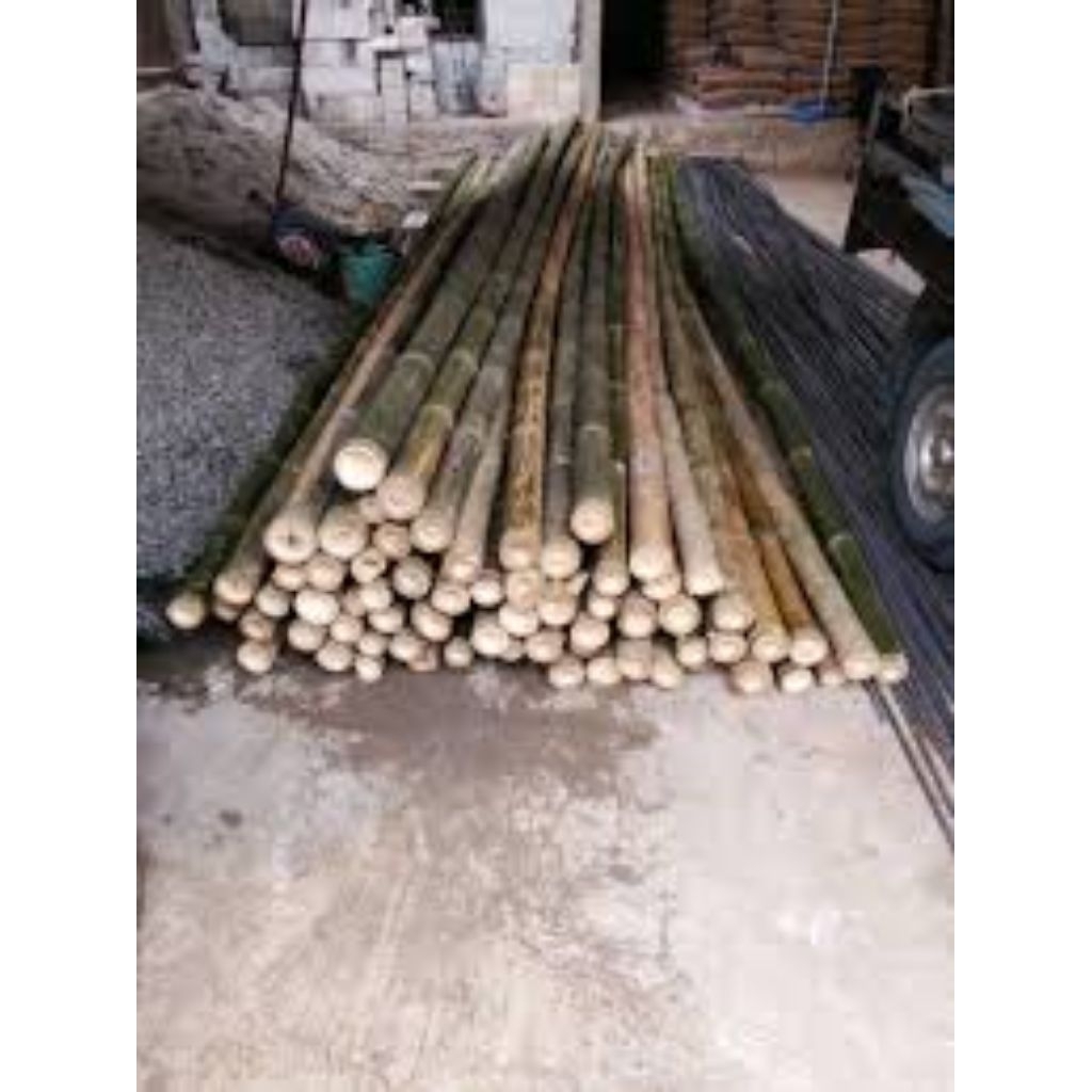 BAMBU STEGER 6 METER
